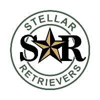Stellar Retrievers image 1